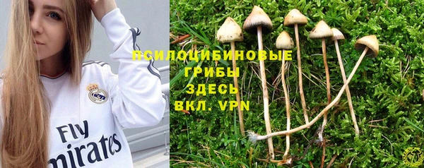 MDMA Premium VHQ Беломорск